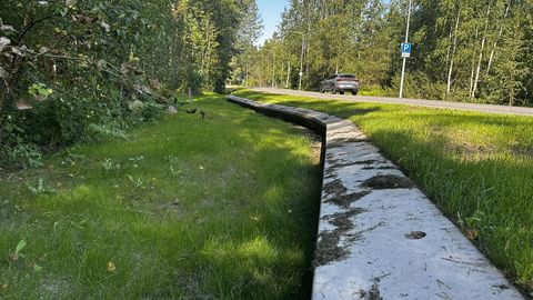 New animal barriers installed on Estonia's Tähetorni Street