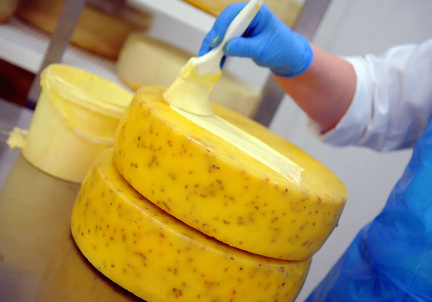 Piena pārstrādes uzņēmuma SIA "Latvijas Piens" siera ražotne.