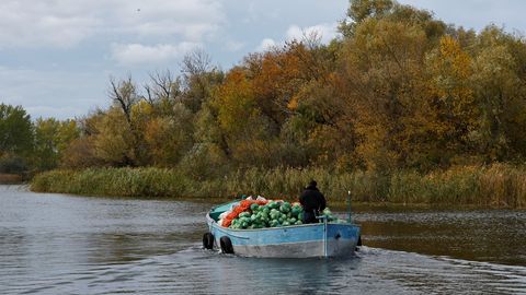 RAINER SAKS ⟩ Venemaa jättis Ukraina elanikud toiduta isolatsiooni. Nende kaotused rindel on tõusmas