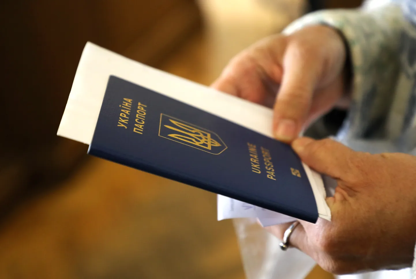 Украинский паспорт
