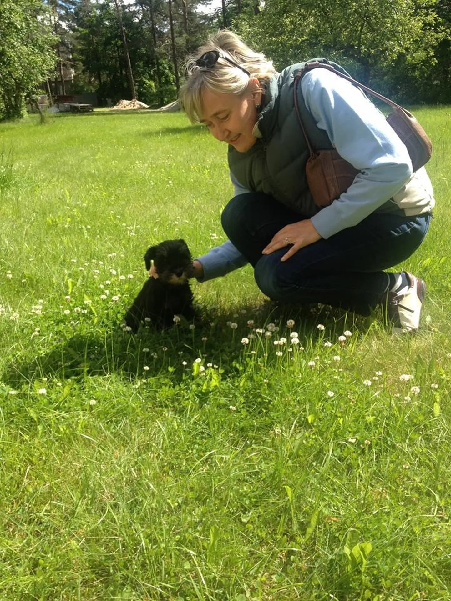 Marianne Mikko uus ja armas pereliige kääbusšnautser