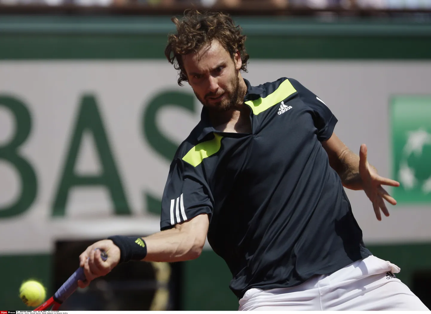 Ernests Gulbis.