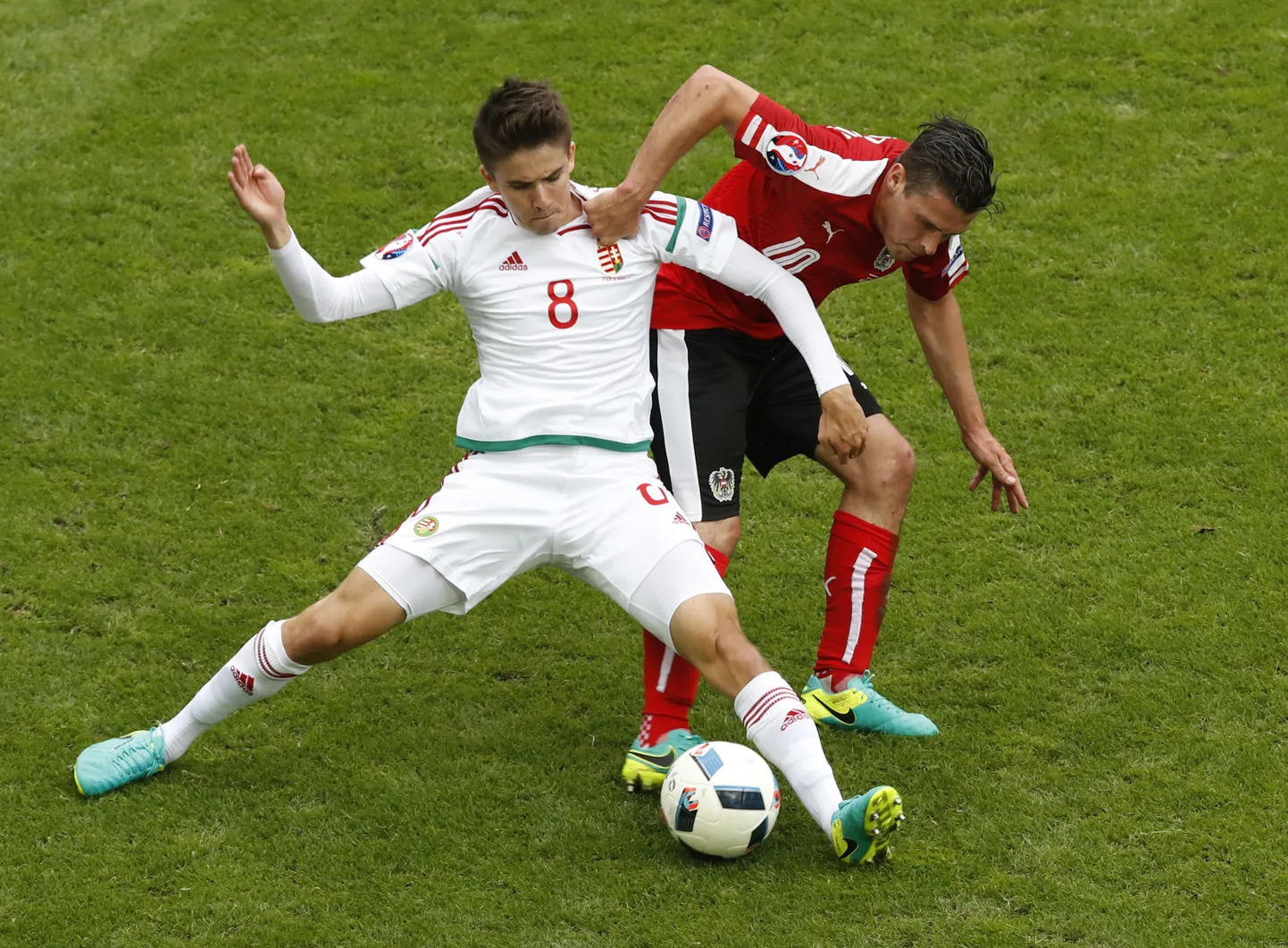 Mõned veaohtlikud nimed: Austria mängija Zlatko Junuzovic ja Ungari Adam Nagy.