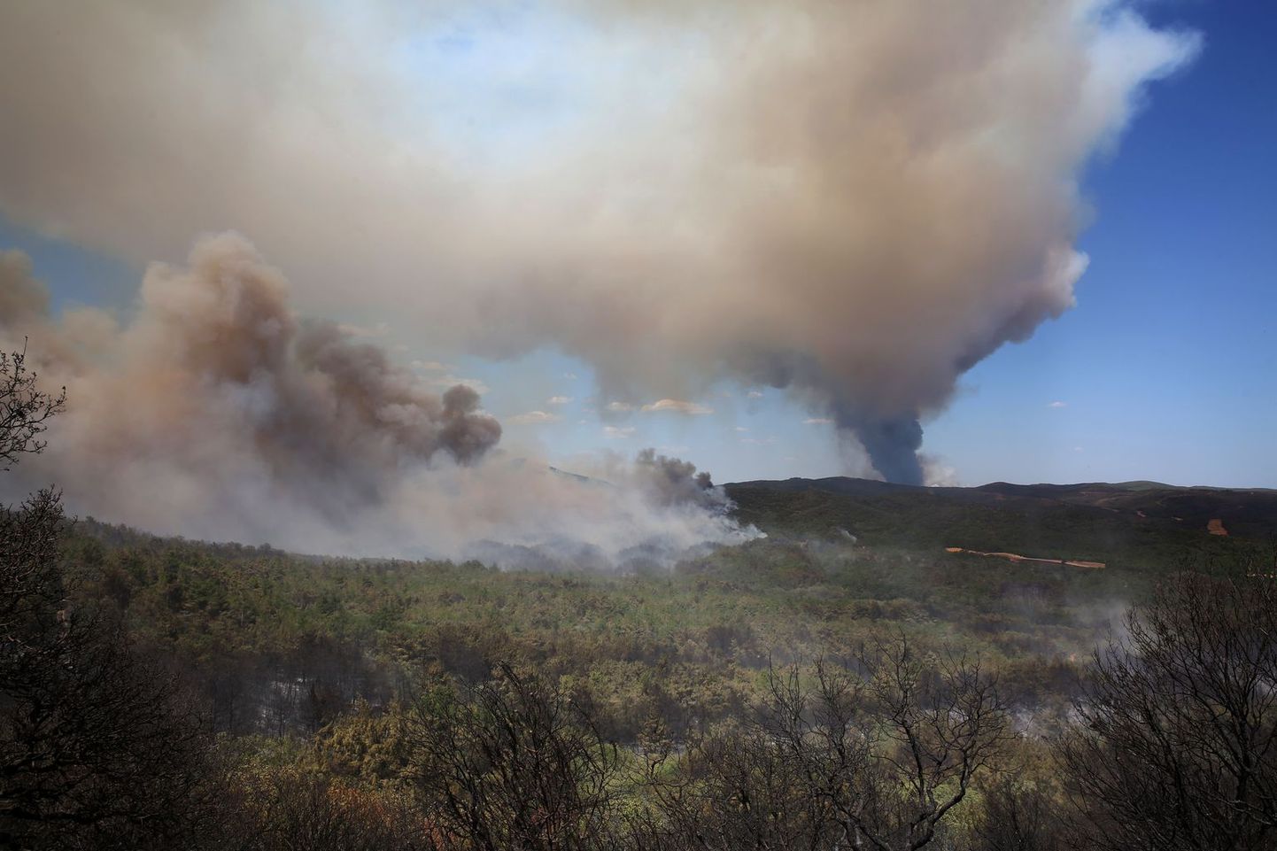 Лесной пожар близ национального парка Дадия-Лефкими-Суфлион.