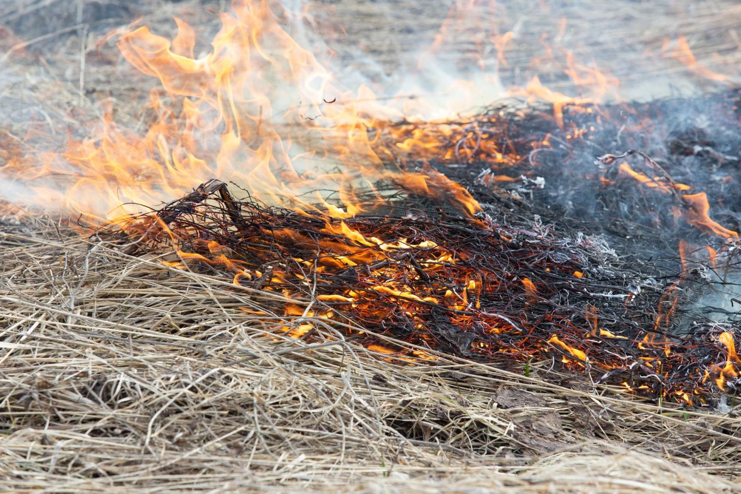 Tori vallas Eametsa külas süttis ehitusjäätmete põletamisel kuiv kulu.