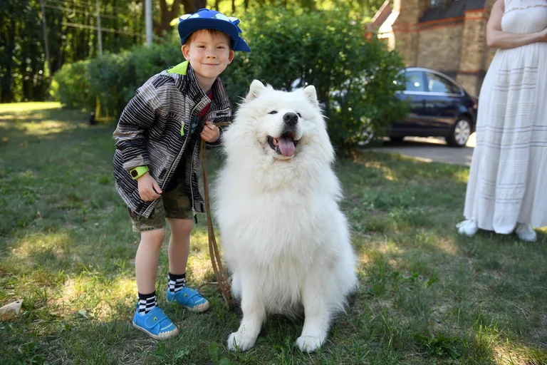 Raksta foto