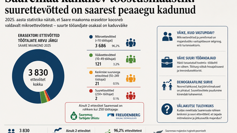 Saaremaa majanduse paradoks: mikroettevõtete meri ja vaid kaks suurt vaala