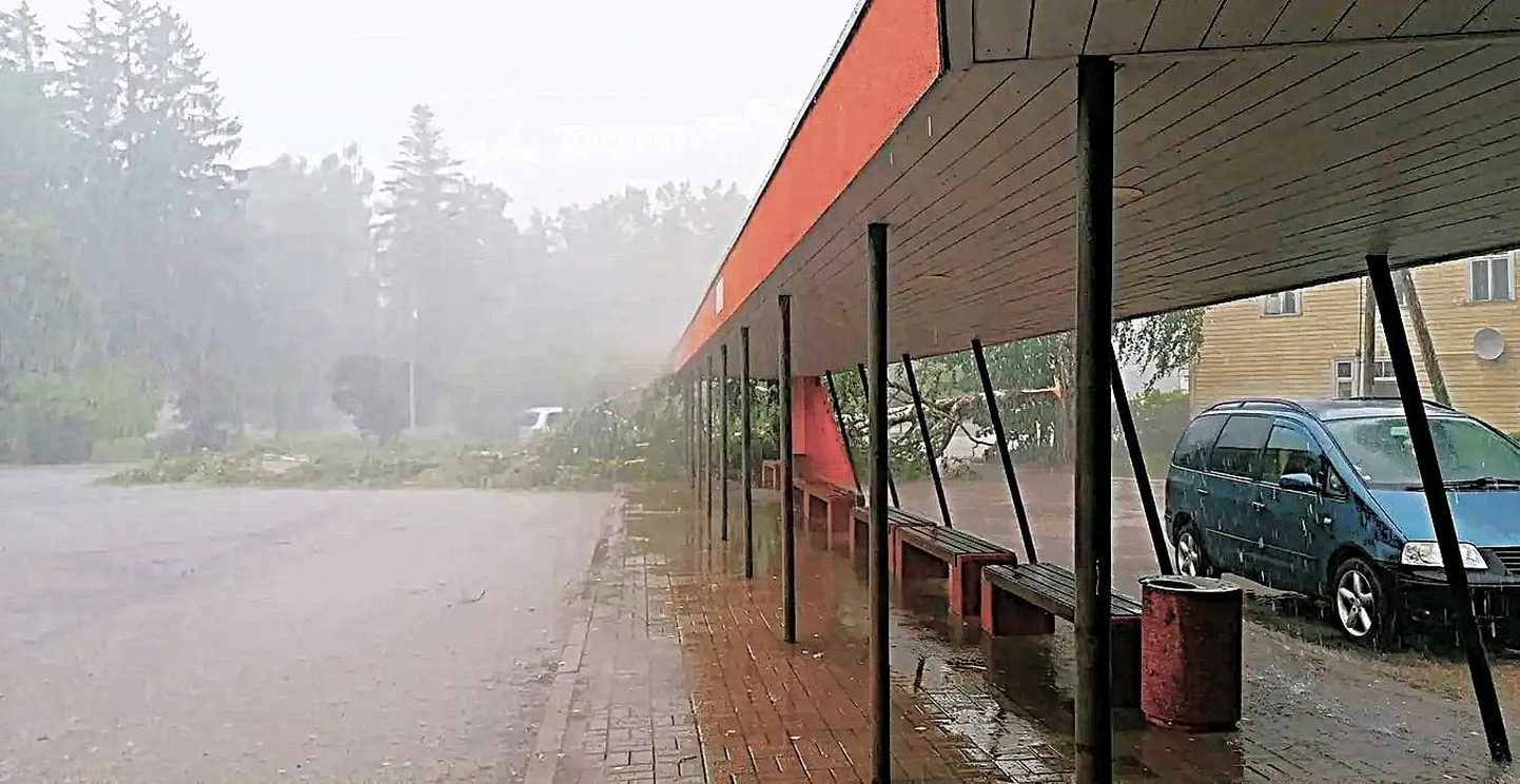 Suur torm Räpinas murdis puid.