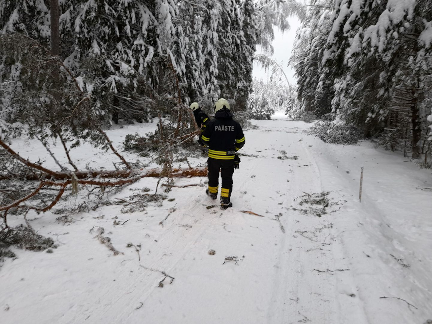 Päästjad puhastasid tee Valga vallas Koobassaare külas.