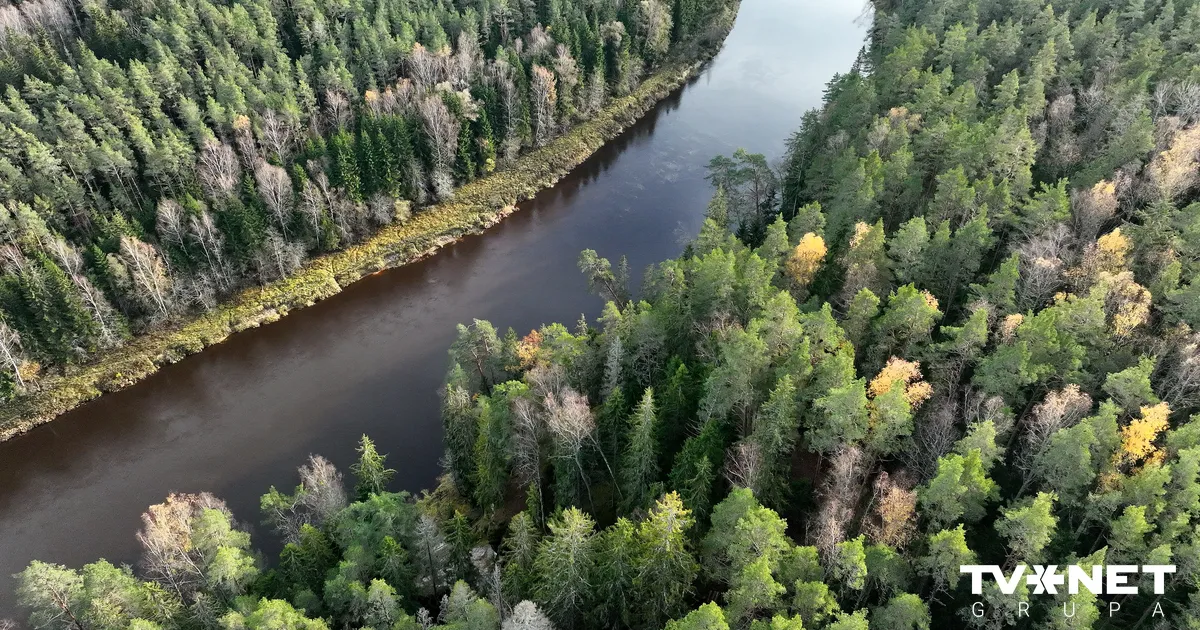 Gaujā apgāzusies laiva. Viens cilvēks noslīcis