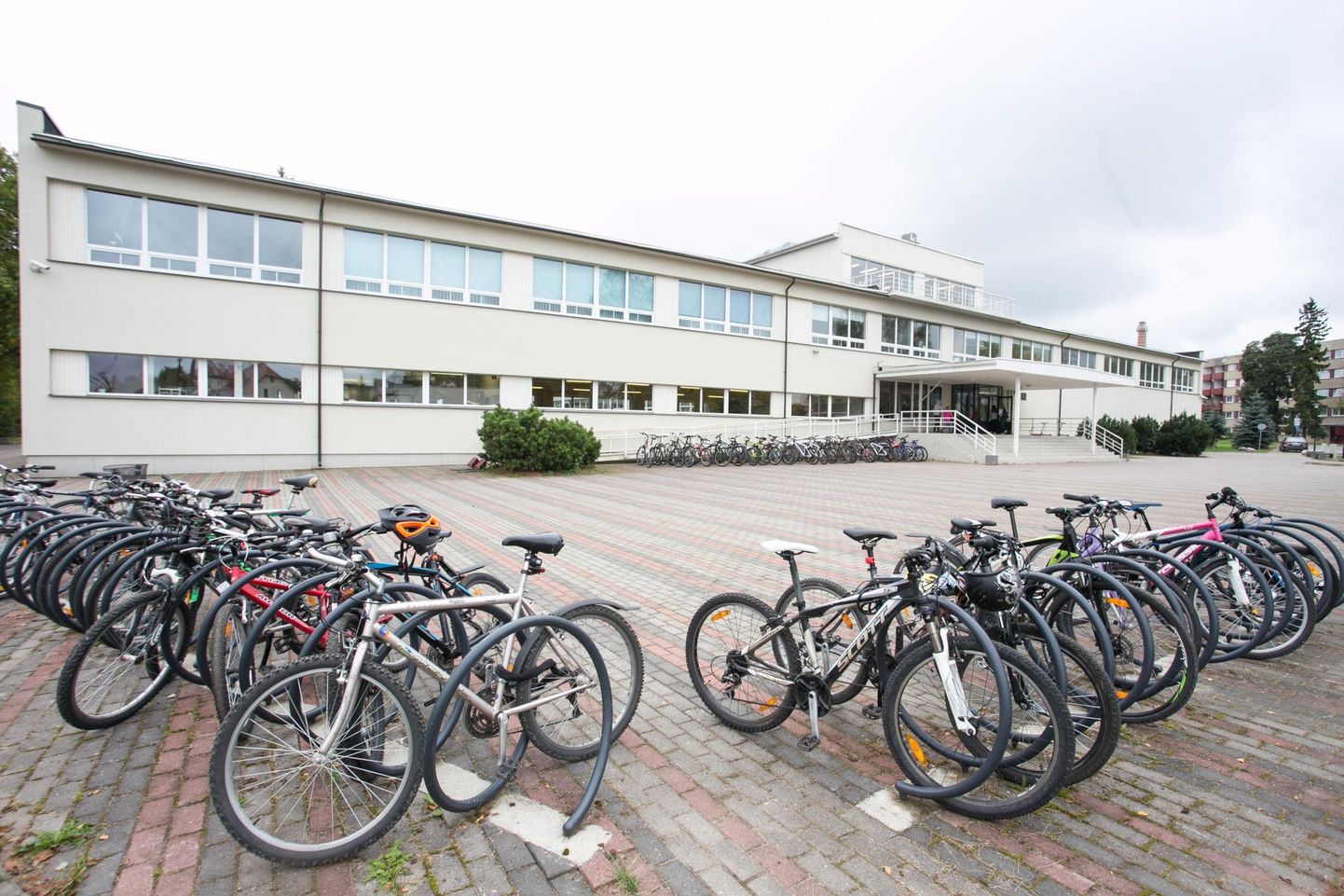 Rakvere linna koolides alustab esimesel septembril oma kooliteed 175 last. Rakvere reaalgümnaasiumi (pildil) avatakse kolm esimest klassi.