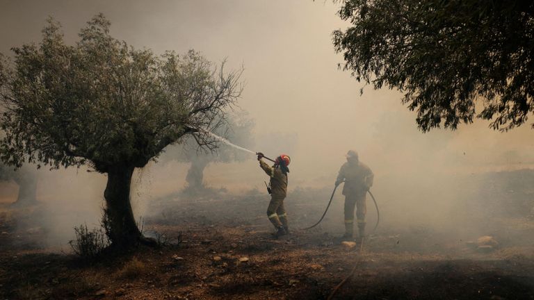 Тушение лесного пожара под Афинами в Греции 19 июля 2023 года.