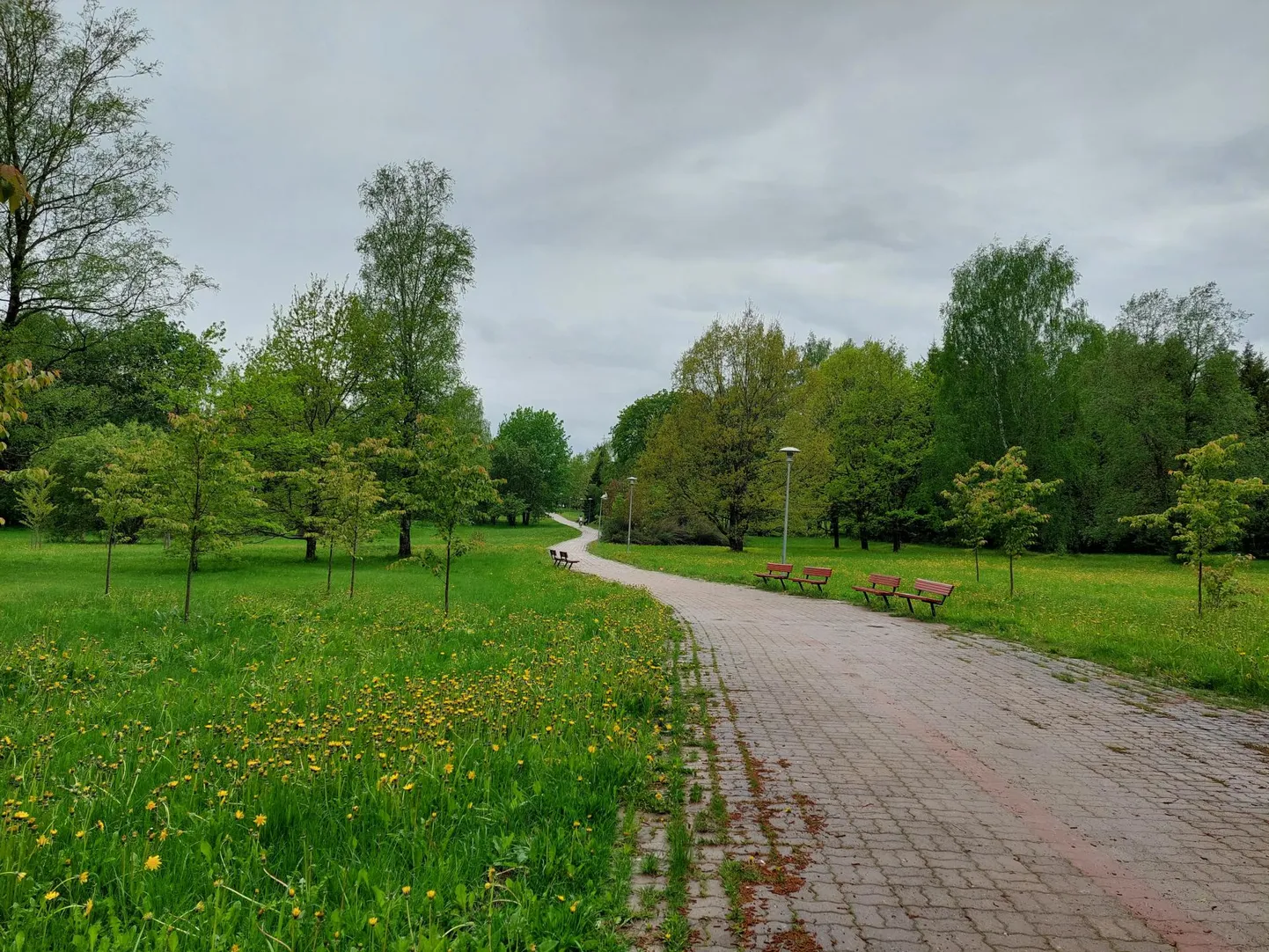 Jõgeval Piiri tänava pargis vigastas purjus mees tuttavat meest ja noort naist.