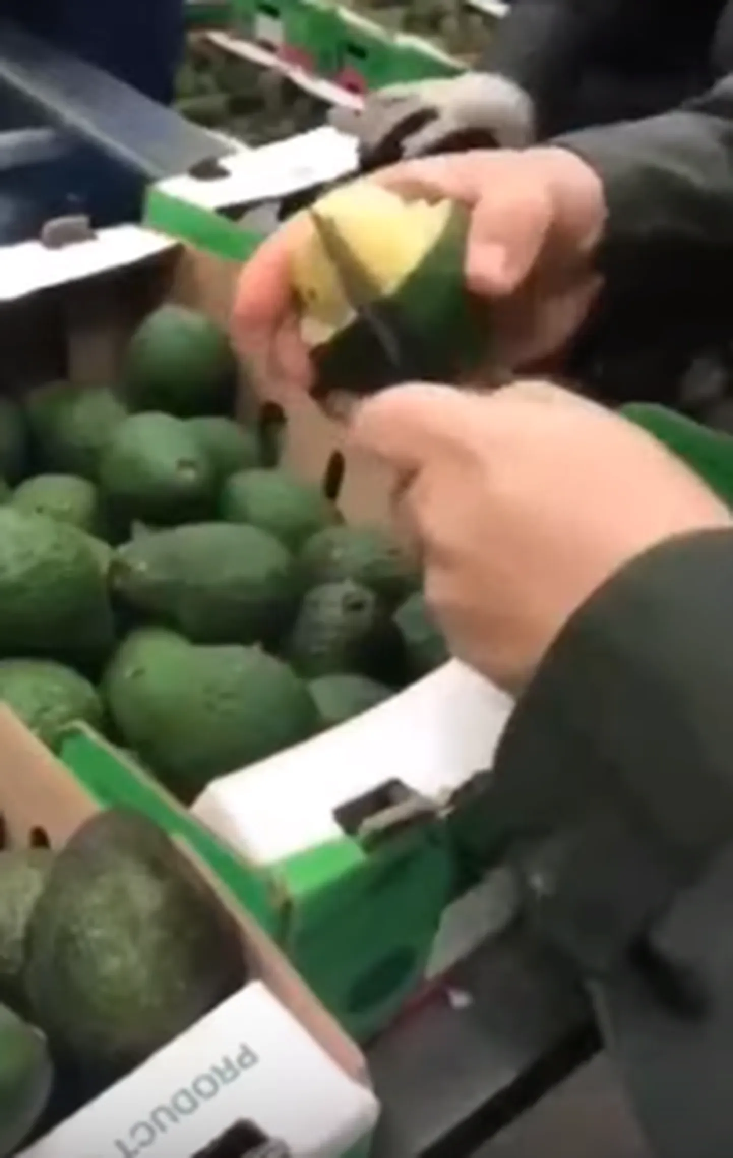 Agendid avastasid avokaadode seest kokaiini.