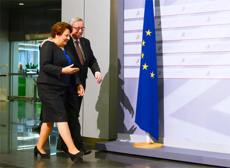 Raksta foto