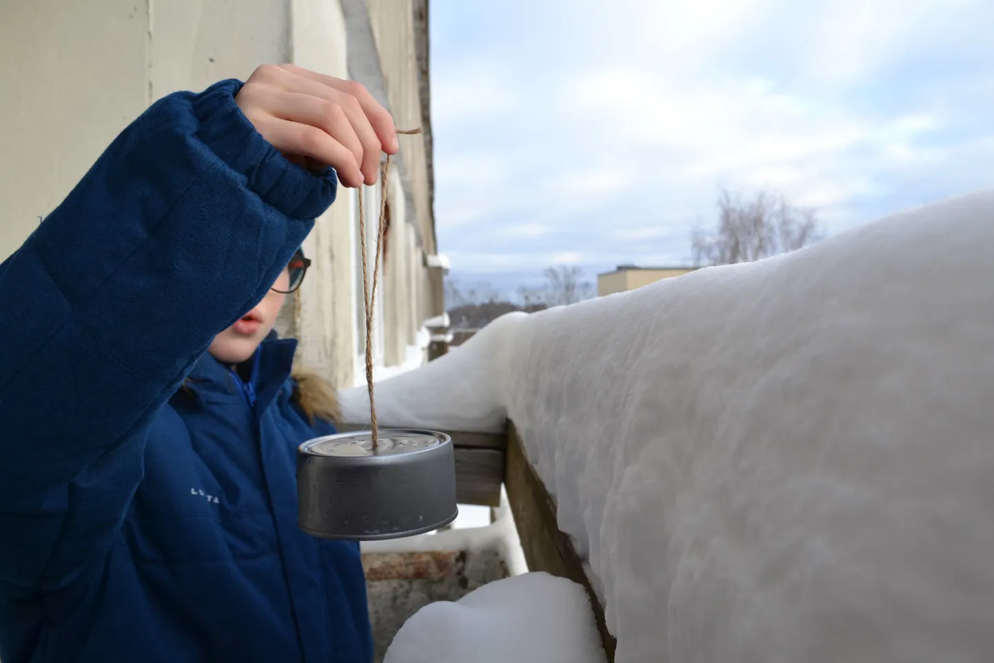 Tihasekellast saavad nokatäie kätte just tihased, teised ei suuda pea alaspidi rippuda.