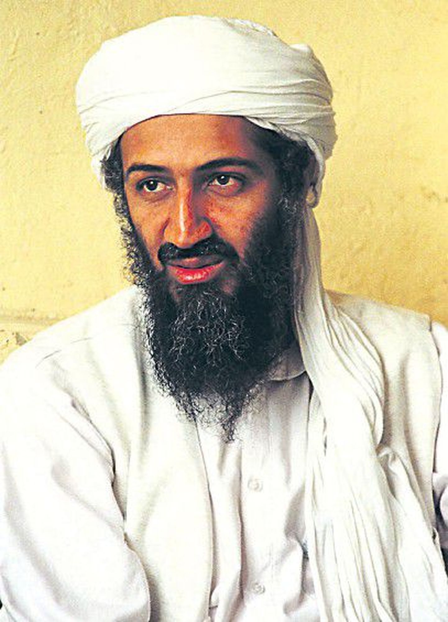 Согласно опубликованным данным ЦРУ, террористы, выходцы из Йемена, намеревались взорвать бомбу на борту лайнера, который следовал в США или из США. Данный теракт планировалось приурочить к годовщине гибели главы «Аль-Каиды» Усамы бин Ладена, ликвидированного 2 мая.
