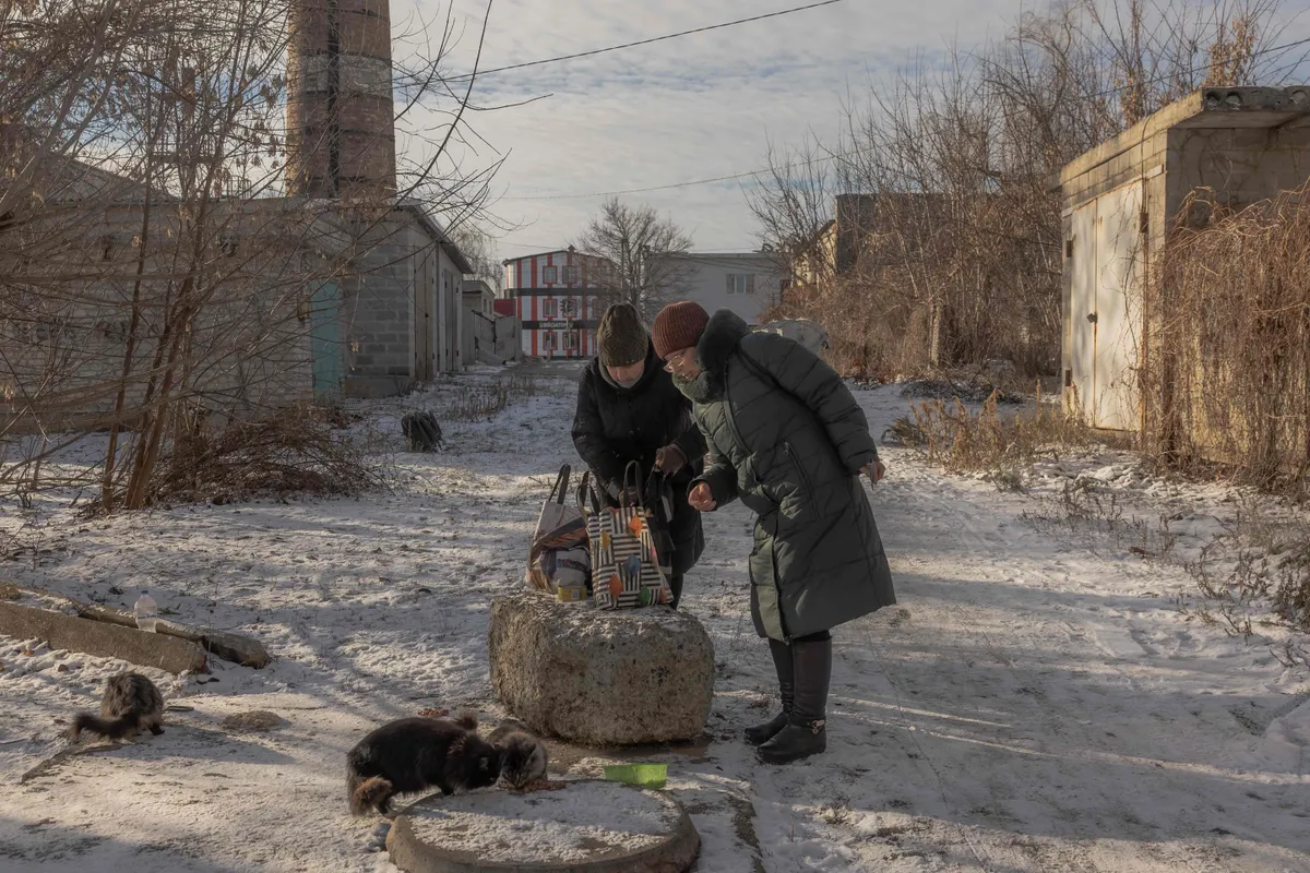 Local residents feed street cats in the city of Pokrovsk, eastern Donetsk region, on December 14, 2024, amid the Russian invasion of Ukraine. "War should not by normalized," says Colonel Kiviselg.