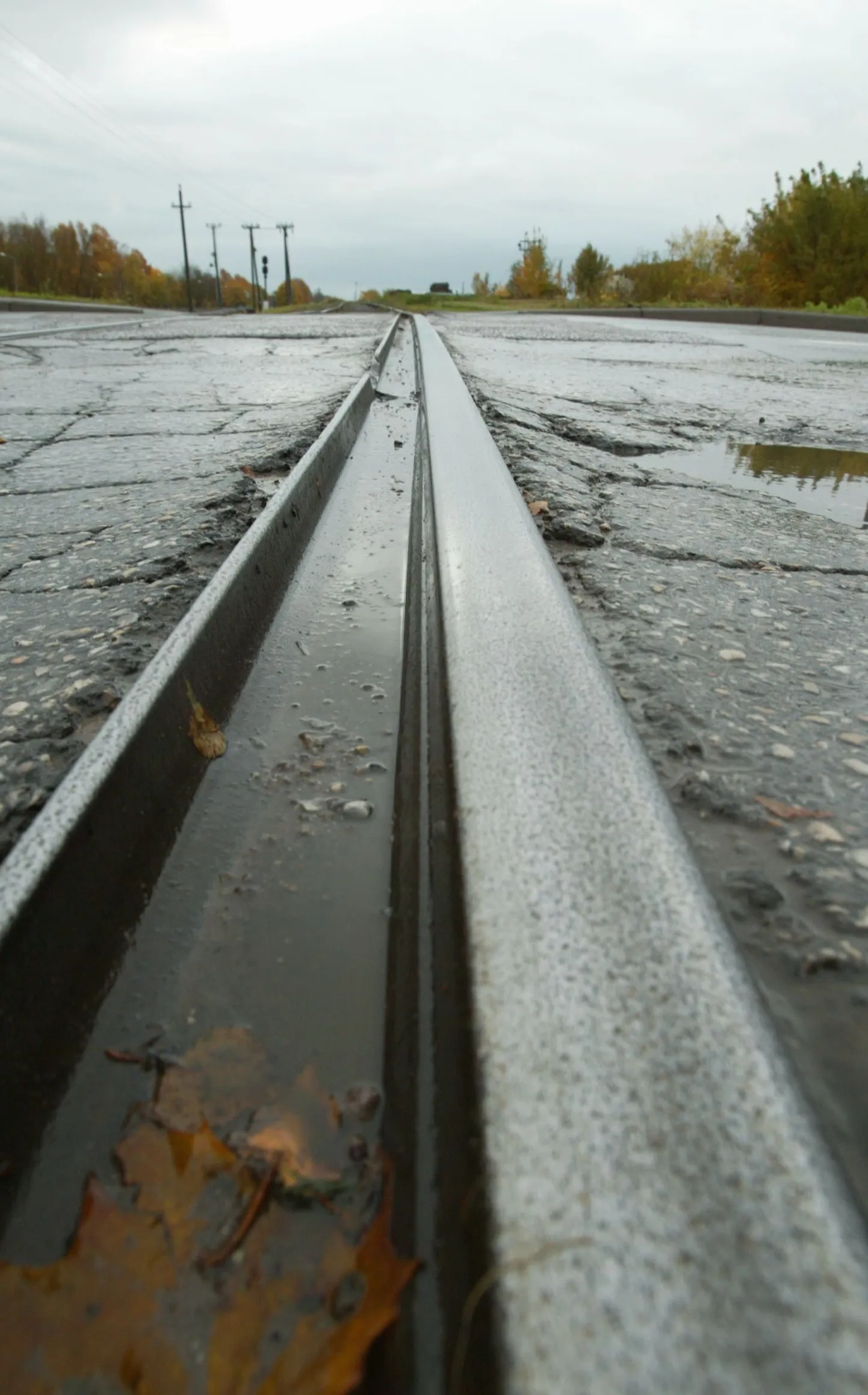 Raudteeülesõit. Foto on illustreeriv.