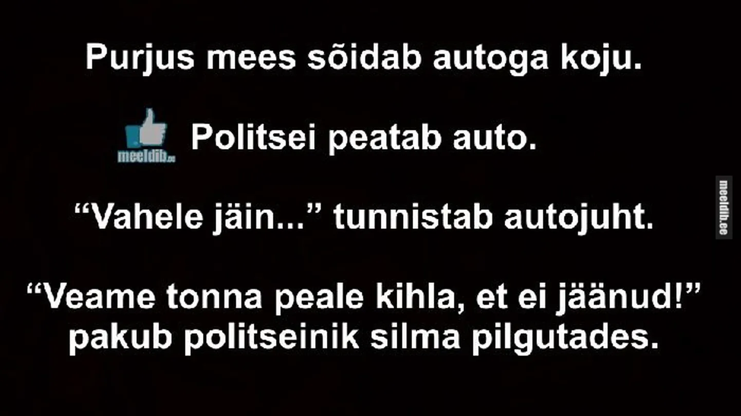 Artikli foto