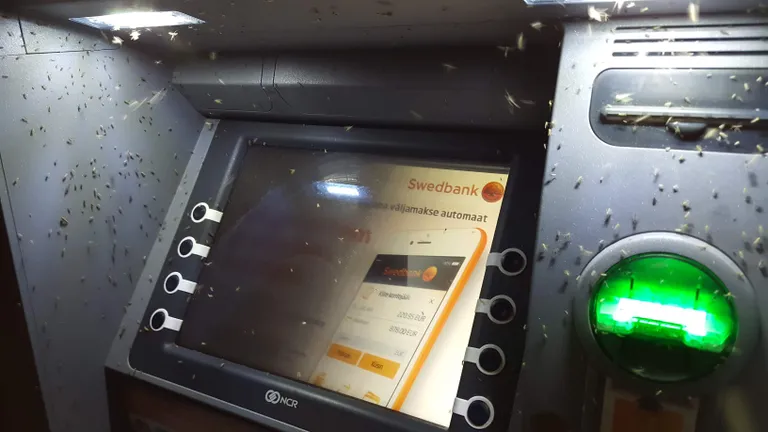 Ämblikud ja sääsed SEB pangaautomaadis