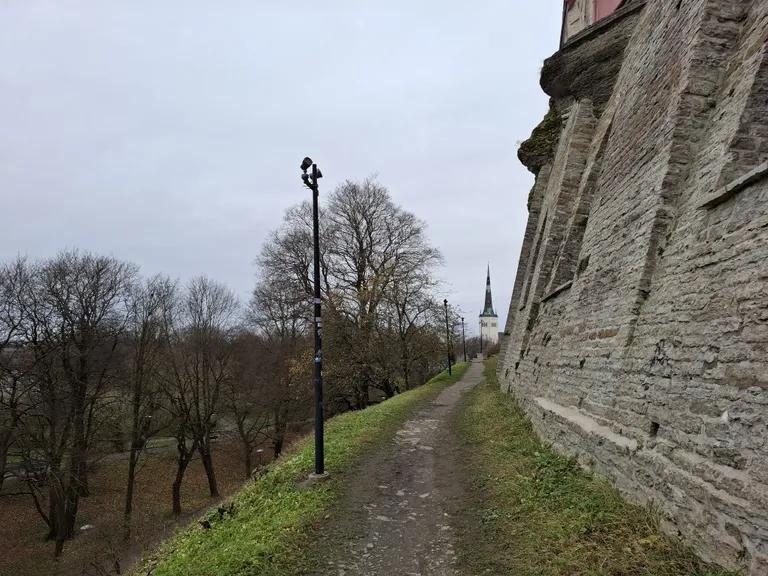 Прогулочную дорожку необходимо привести в порядок.