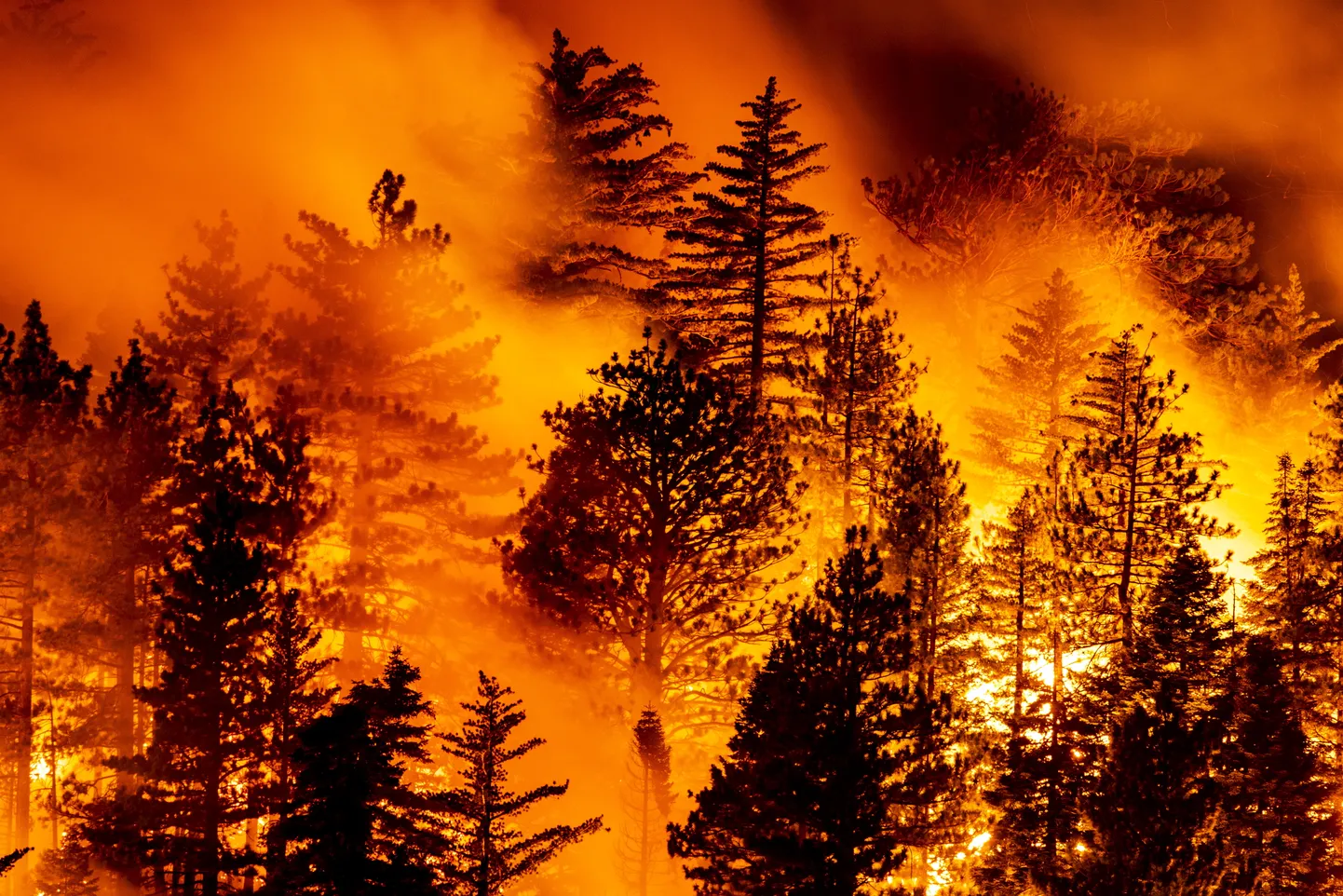 Tulekahju Californias Angelese Riigimetsas 11. september 2020.