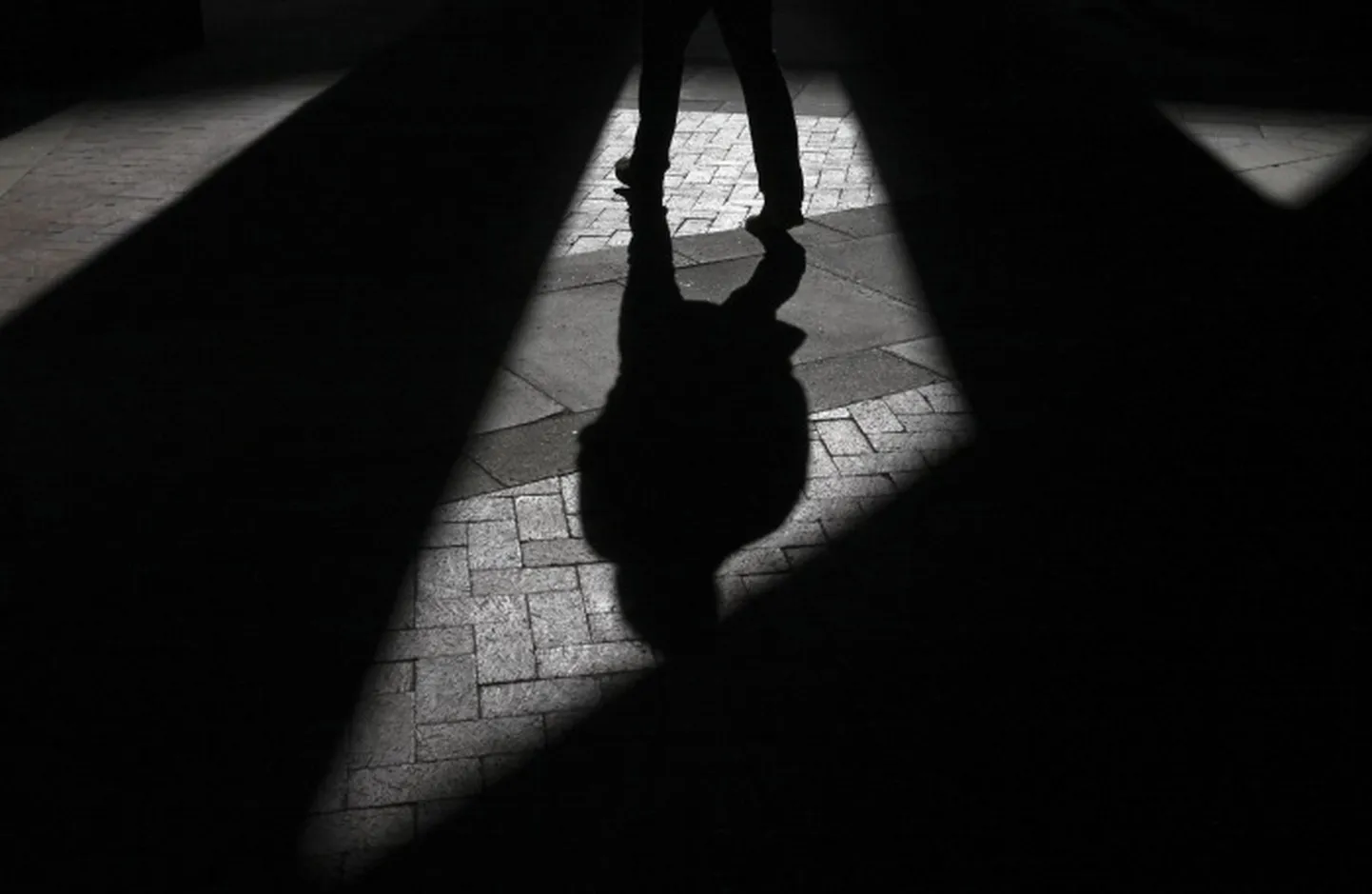 Raksta foto