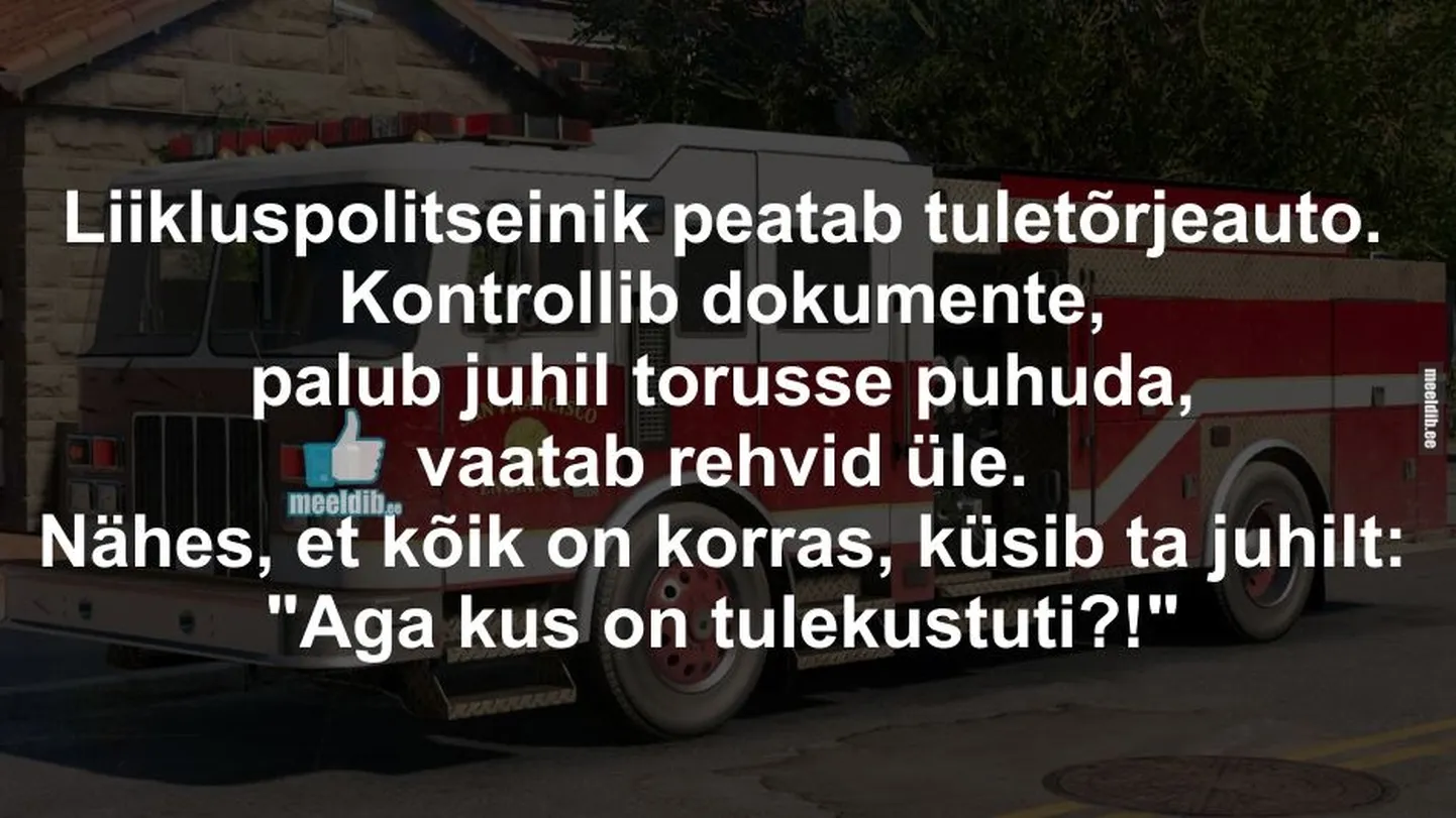 Artikli foto