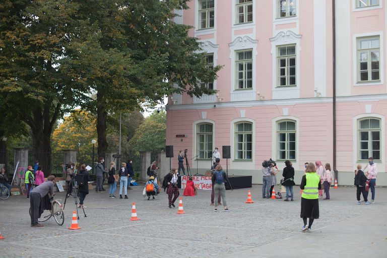 Климатическая забастовка в Таллинне.