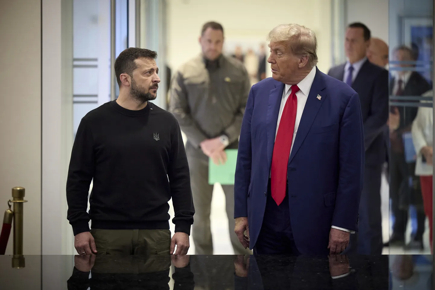 Владимир Зеленский и Дональд Трамп.
