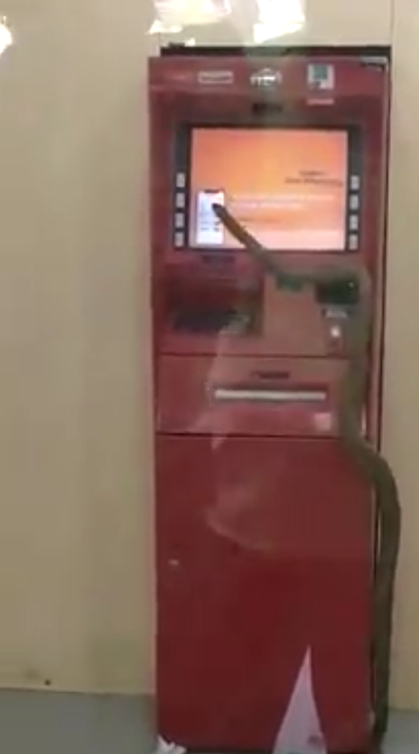 Indias roomavad maod igal pool. Üks otsustas aga pangaautomaati end peita.