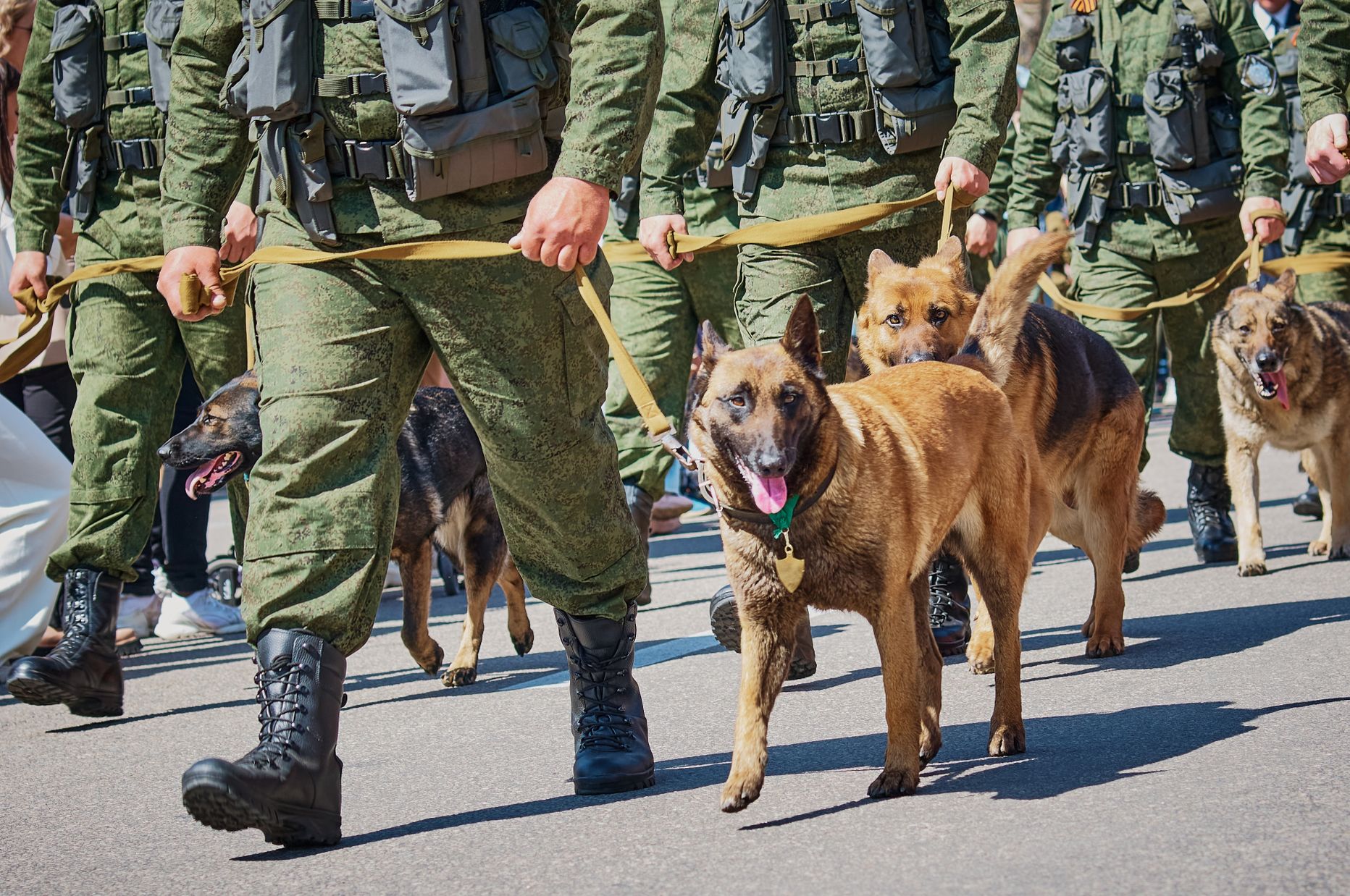 Krievijas robežsargs ar suni.