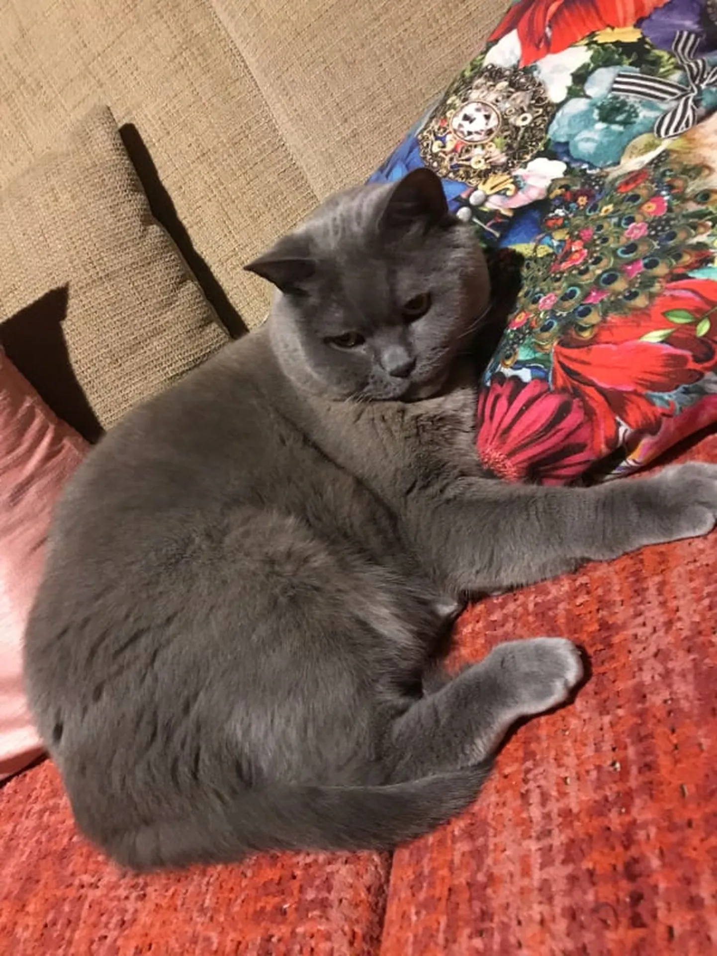 Carlos.