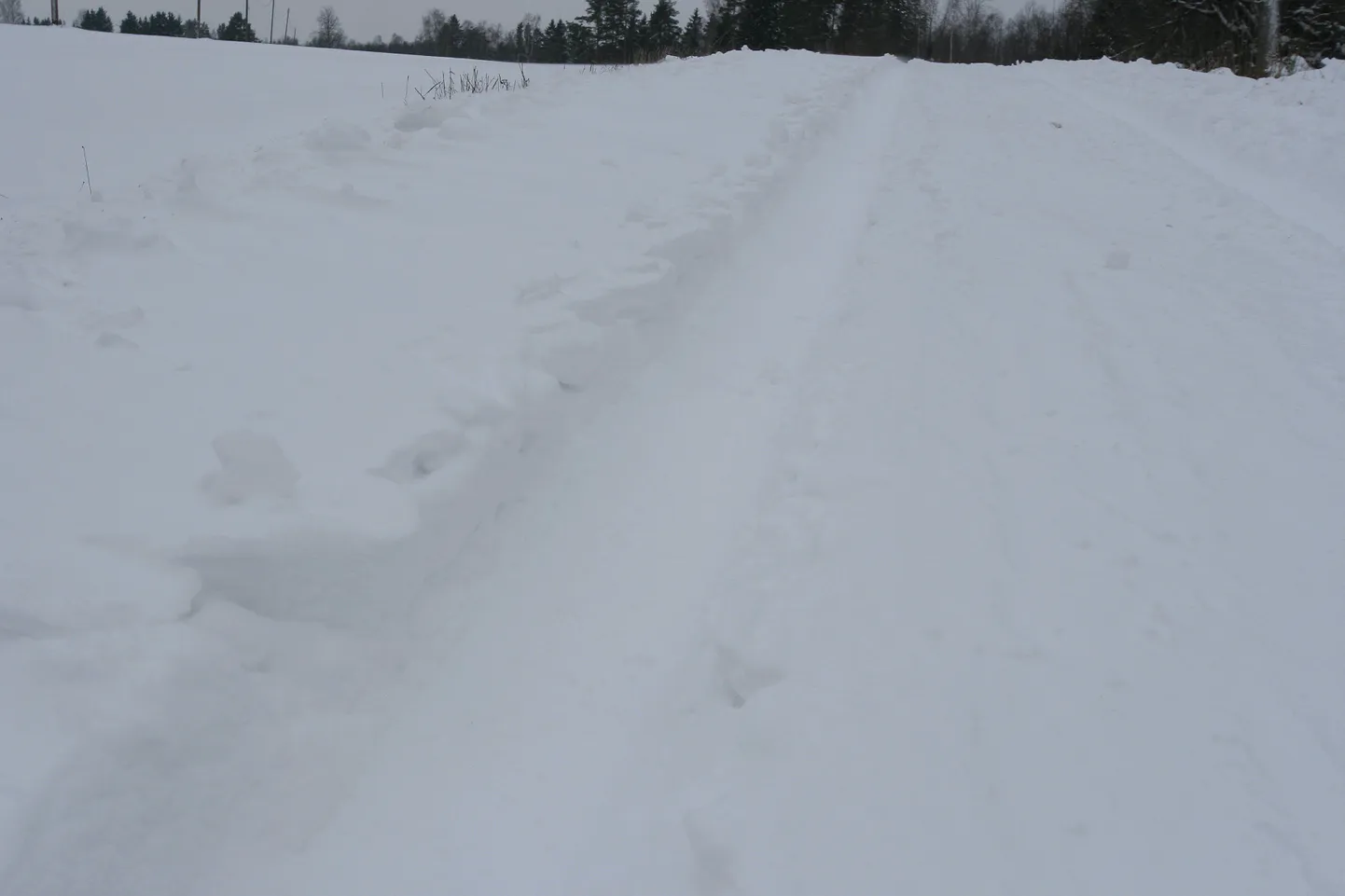 Tugeva lumesaju tõttu pole soovitav nina toast välja pista.