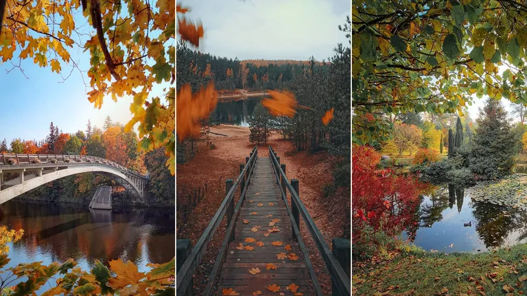 Фото статьи
