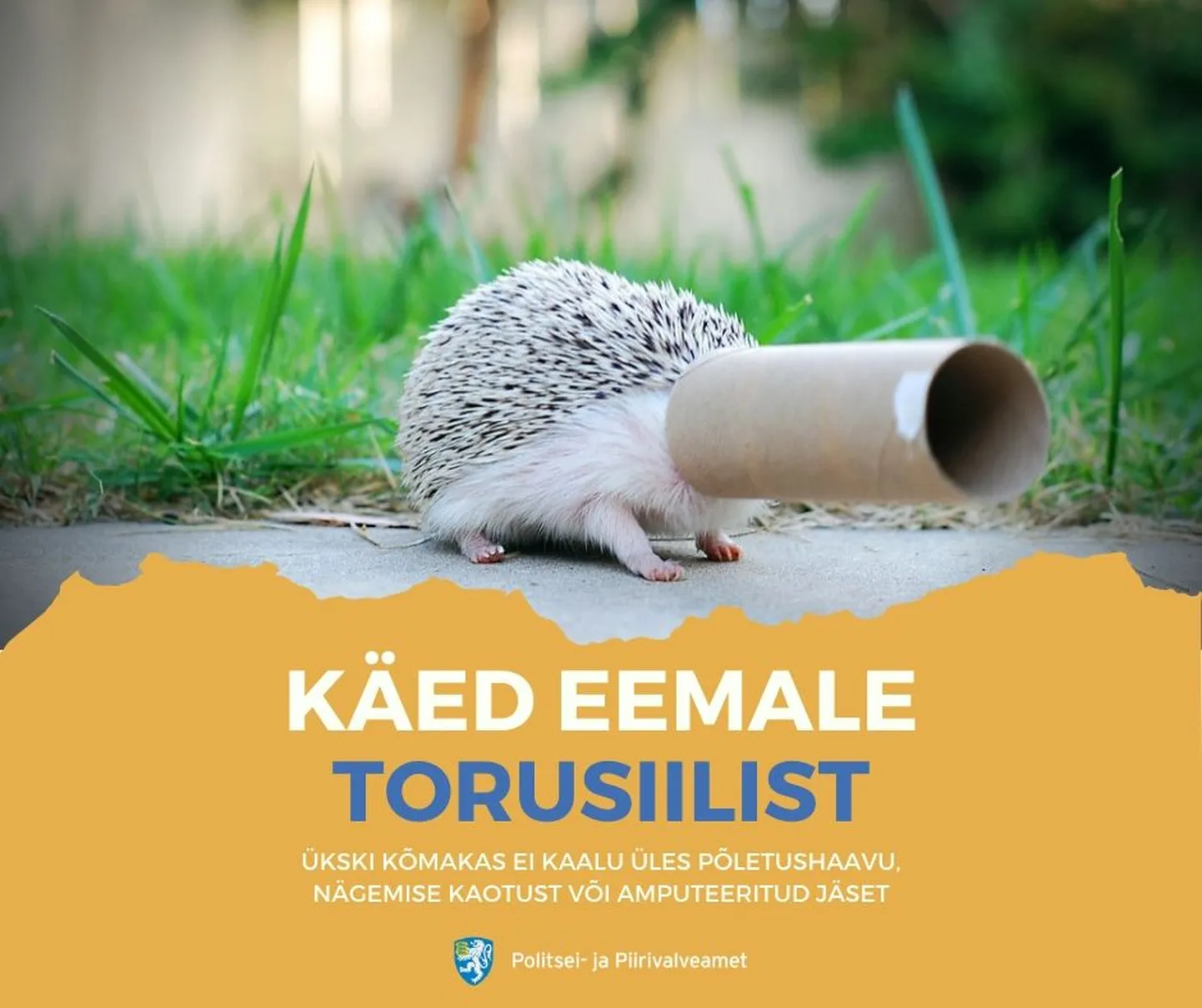 "Käed eemale torusiilist, ükski kõmakas ei vääri neid küünlaid!" kõlab politsei- ja piirvalveameti üleskutse.