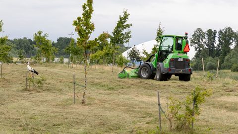 PILDID ⟩ Sellised näevad «EV 100» tammikud välja kaheksa aastat hiljem