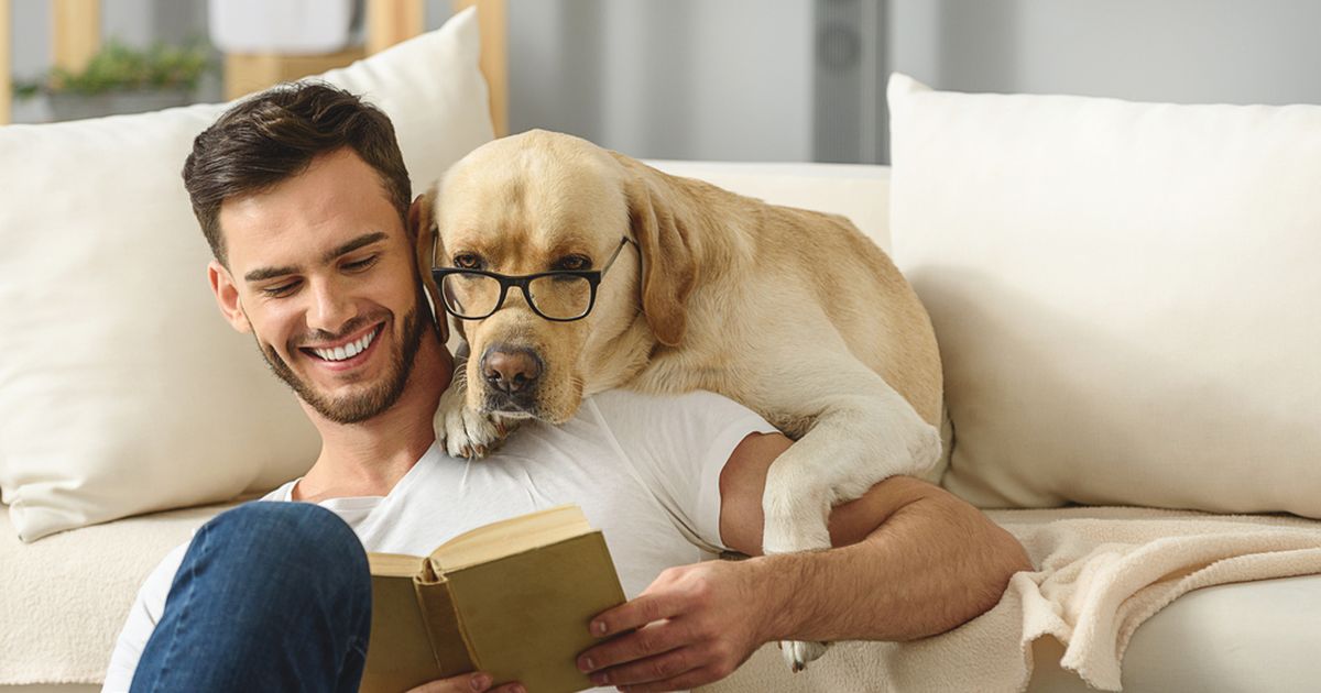 Pet-Proof Home: Preparing Your Place for a New Pet 