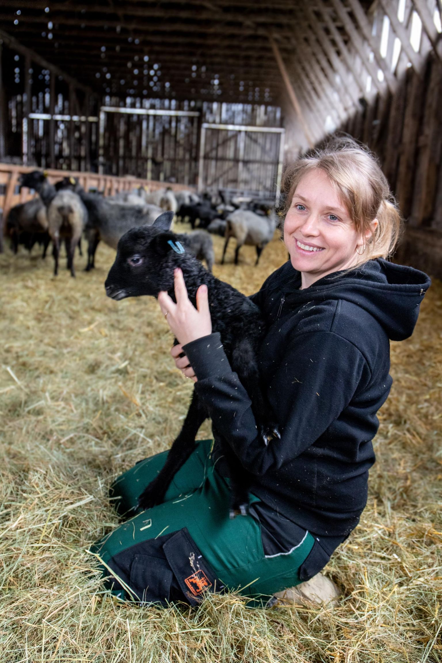 Lambakasvatajatel pole kerge, kuid kurta pole kellelegi. Valiku lambaid kasvatada on igaüks teinud ise, rääkis lambaid kasvatav Mirjam Pikkmets.

 