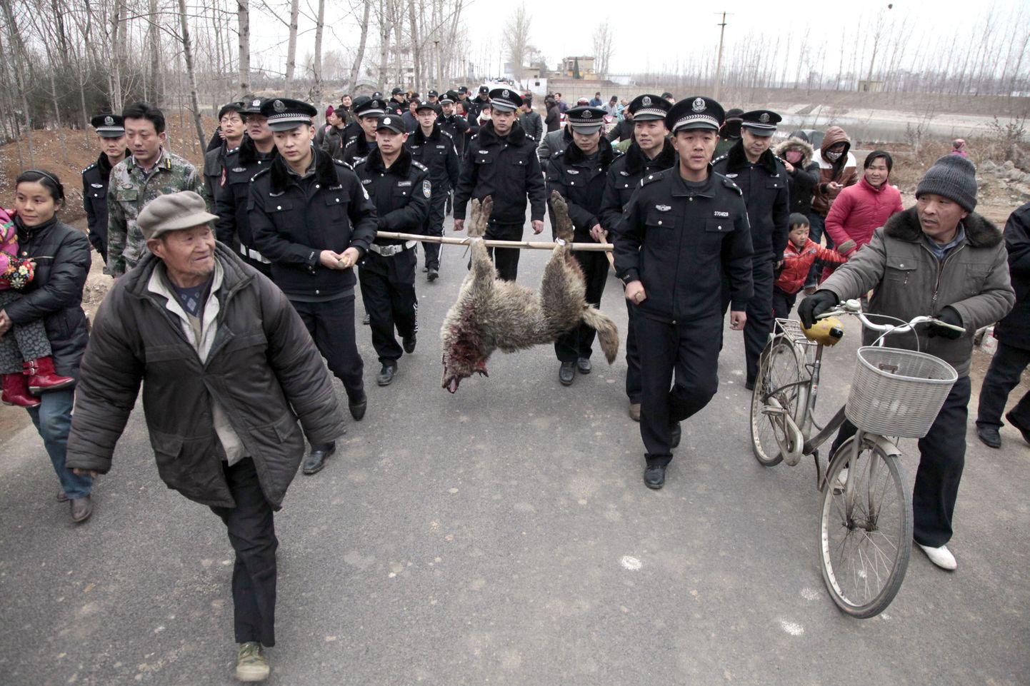 Hiinas Zaozhuangis toimus politseioperatsioon, mille käigus tabati tapjahunt