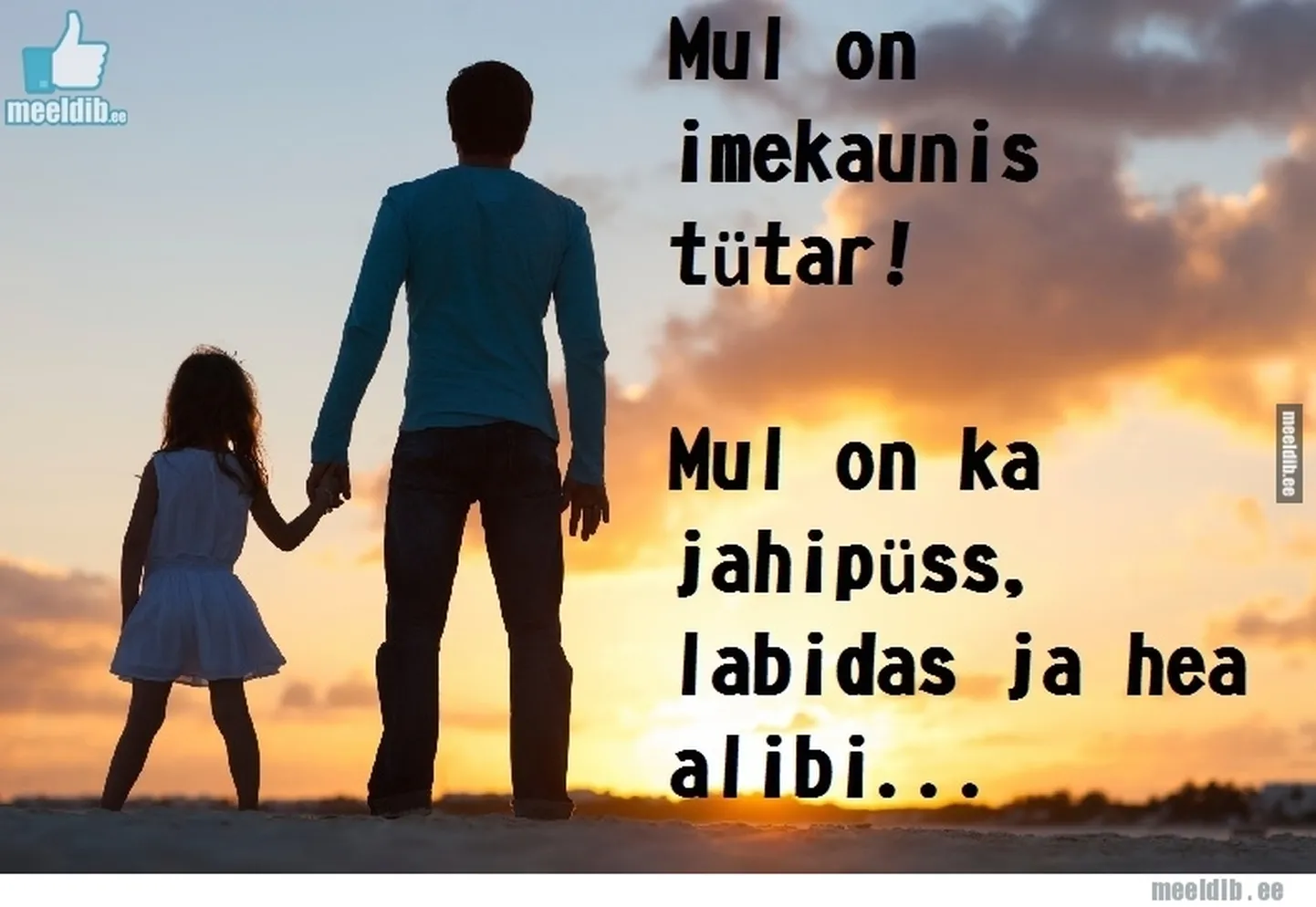 Artikli foto