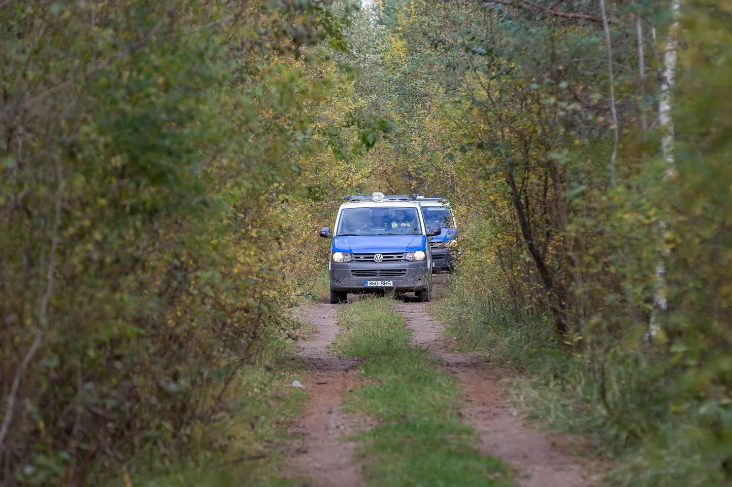 Kadunud inimese otsimine. Foto pole sündmusega seotud.