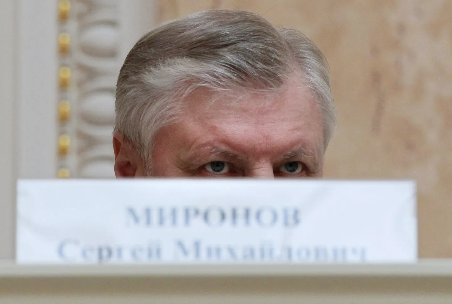 Föderatsiooninõukogu endine esimees Sergei Mironov