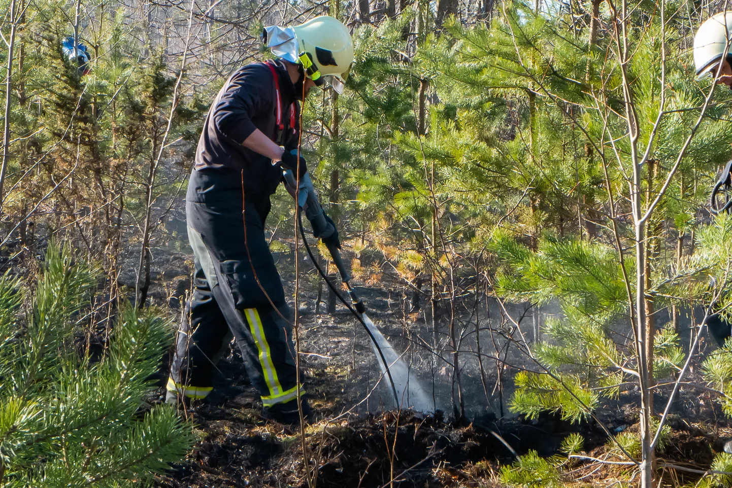 Poisikeste tikkudega mängimise tõttu oli süttinud umbes 200 ruutmeetrit metsanoorendikku.