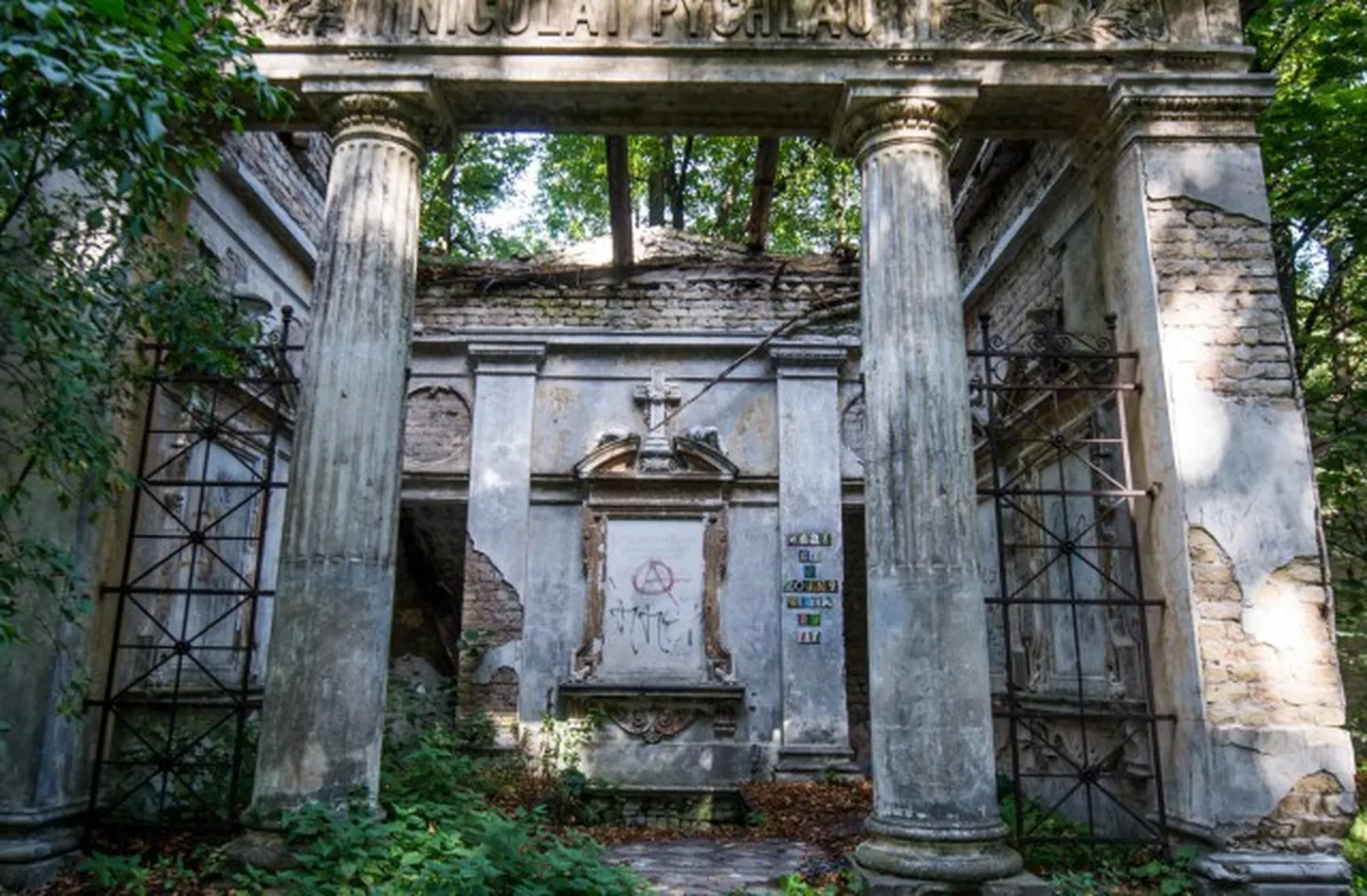 Фото статьи