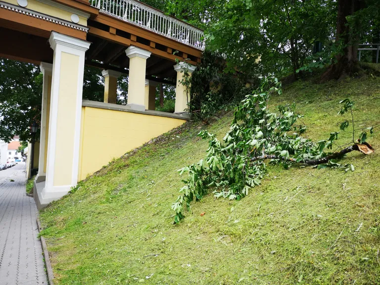 Toomemäel puhub küll tugev tuul, kuid murrab esialgu vaid üksikuid puuoksi