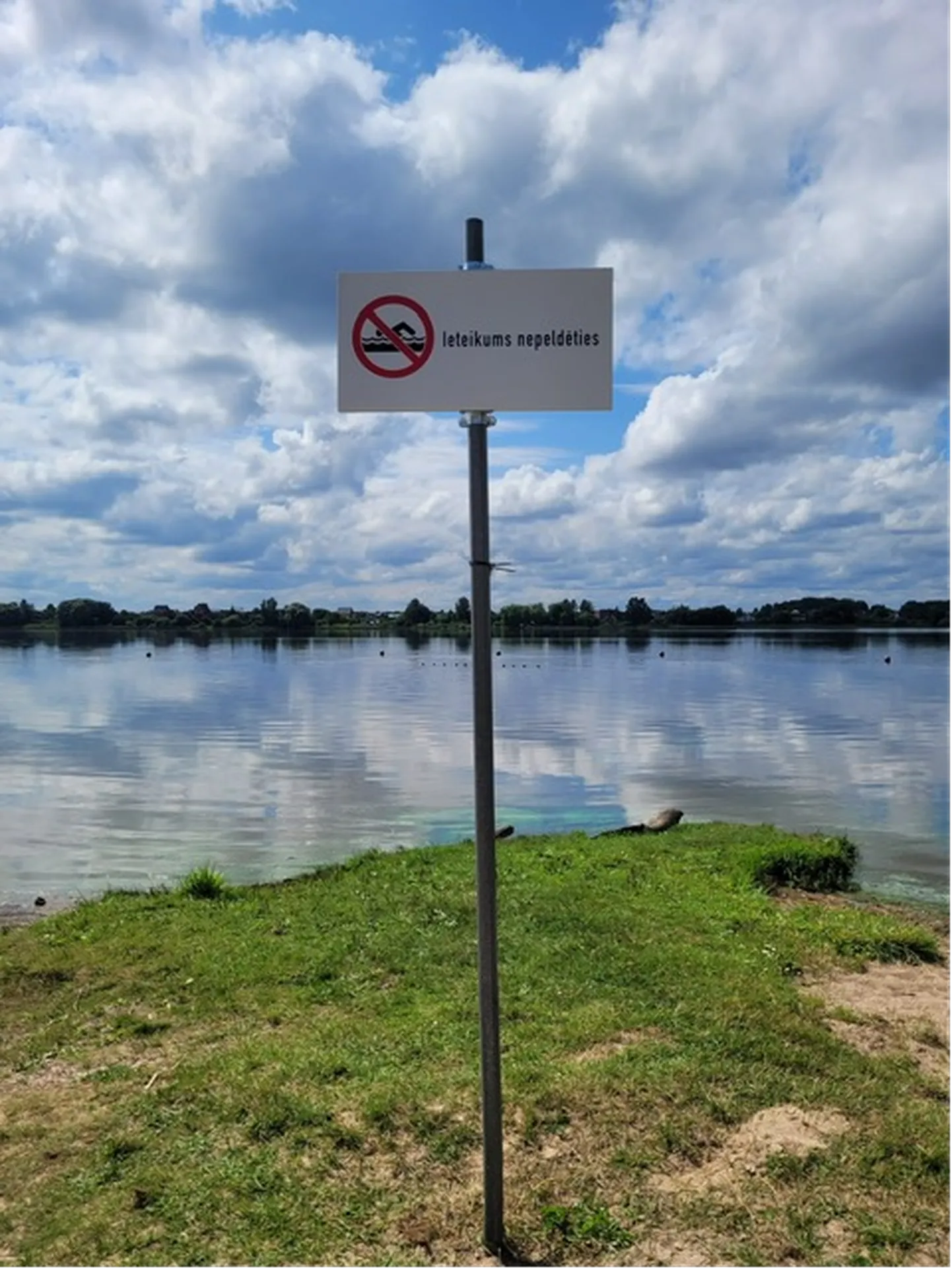 Zilaļģes pludmalēs Rīgā