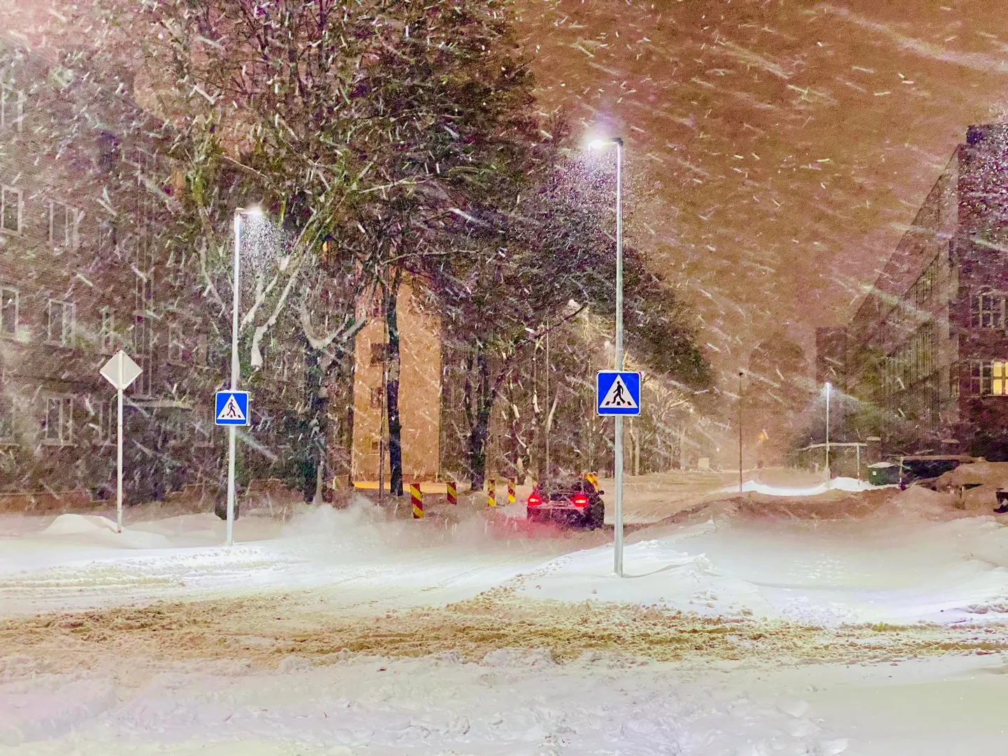 Фото статьи