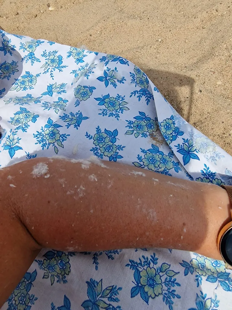 «Nägin välja nagu kitkutud kana!»